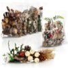 Unyqoos® Set van 6 Natuurlijke Kerstdecoraties met Kegels en Takken voor Feestelijke Sfeer