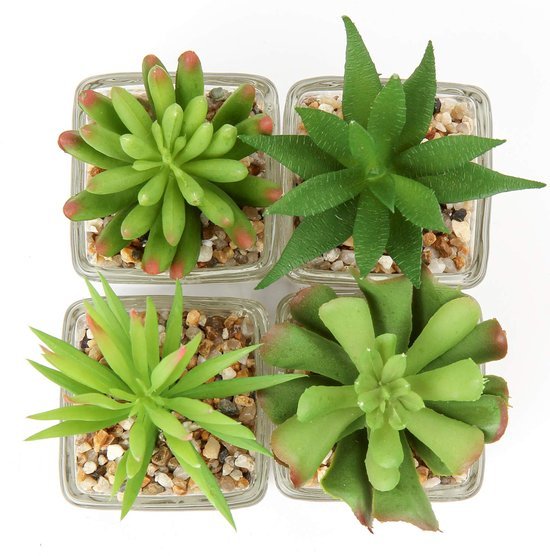 550x556-41.jpg Unyqoos® Set van vier realistische vetplanten in glazen pot voor sfeervolle decoratie