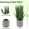 Unyqoos® Levensechte decoratieve kunstplant Sanseveria in cementpot voor interieur
