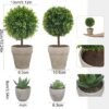 550x561-27.jpg Unyqoos® Set van vier levensechte kunstplanten voor diverse interieurdecoratie