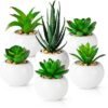 550x561-31.jpg Unyqoos® Set van 6 decoratieve kunstplanten in witte keramische potten voor elk interieur