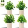550x561-32.jpg Unyqoos® Set van vier levensechte onderhoudsvrije kunstplanten voor elke ruimte
