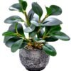 Unyqoos® Decoratieve groene plant in stevige pot voor binnen en overdekte buitenruimtes
