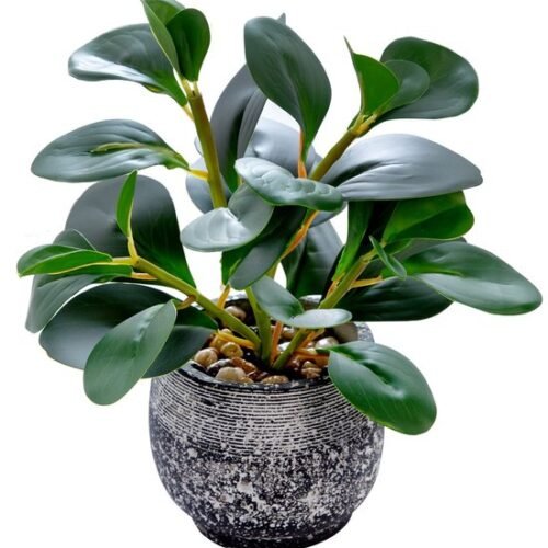 Unyqoos® Decoratieve groene plant in stevige pot voor binnen en overdekte buitenruimtes