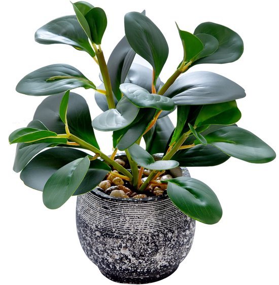 Unyqoos® Decoratieve groene plant in stevige pot voor binnen en overdekte buitenruimtes