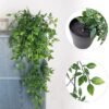 550x563-38.jpg Unyqoos® Set van drie decoratieve kunstplanten in potten voor binnen en buiten