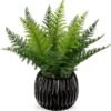 550x564-34.jpg Unyqoos® Levensechte kunstvaren in pot voor stijlvolle interieurdecoratie