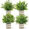 550x564-35.jpg Unyqoos® Set van vier levensechte kunstplanten voor decoratie in huis en kantoor