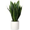 Unyqoos® Decoratieve kunstplant Sansevieria in stijlvolle keramische pot voor elk interieur