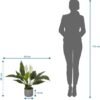Unyqoos® Groenblijvende kunstplant met witte bloemen voor binnen en buiten decoratie
