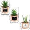 Unyqoos ® Stijlvolle Set van 3 Moderne Kunstplanten in Decoratieve Potten voor Elk Interieur