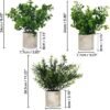 Unyqoos ® Set van Drie Realistische Miniatuur Groene Planten in Decoratieve Potten voor Huis en Kantoor