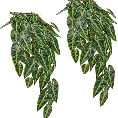 550x576-11.jpg Unyqoos® Set van 2 Kunsthangplanten voor Binnen en Overdekte Buitenruimtes