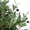 Unyqoos® Levensechte Olijfboom van 65 cm met Realistische Details voor Binnengebruik