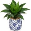 Unyqoos® Stijlvolle kunstplant met realistische agave voor interieurdecoratie