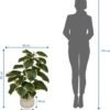 Unyqoos® Groenblijvende kunstplant Ficus elastica met realistische uitstraling voor elk interieur