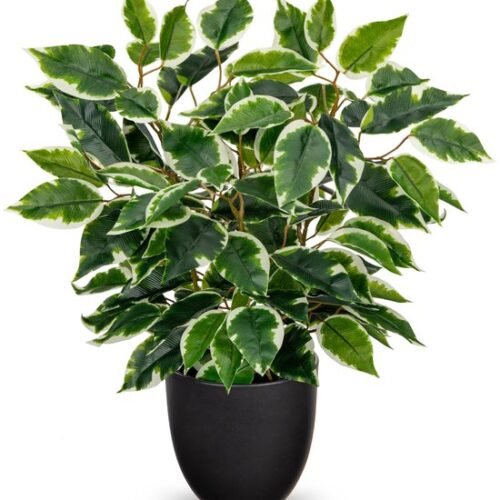 Unyqoos® Decoratieve kunstplant ficus in pot voor elke ruimte en interieurstijl