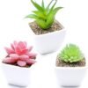 Unyqoos ® Decoratieve Set van Drie Realistische Kunstplanten voor Thuis en Kantoor