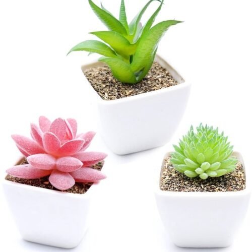 Unyqoos ® Decoratieve Set van Drie Realistische Kunstplanten voor Thuis en Kantoor