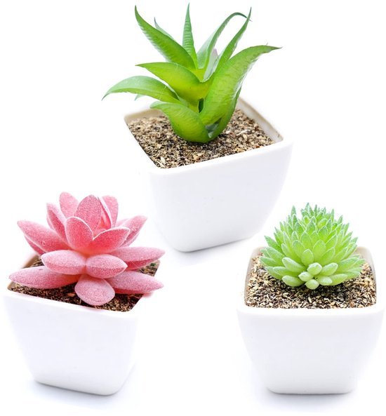 Unyqoos ® Decoratieve Set van Drie Realistische Kunstplanten voor Thuis en Kantoor