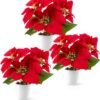 Unyqoos® Set van drie kunstkerststerren in elegante keramische pot voor feestelijke decoratie