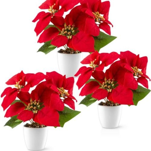 550x595-6.jpg Unyqoos® Set van drie kunstkerststerren in elegante keramische pot voor feestelijke decoratie
