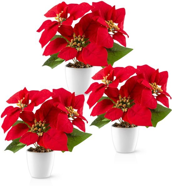 Unyqoos® Set van drie kunstkerststerren in elegante keramische pot voor feestelijke decoratie
