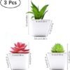 Unyqoos ® Decoratieve Set van Drie Realistische Kunstplanten voor Thuis en Kantoor