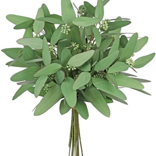 Unyqoos® Onderhoudsvriendelijke Eucalyptus Kunsttakken voor Diverse Decoratiemogelijkheden