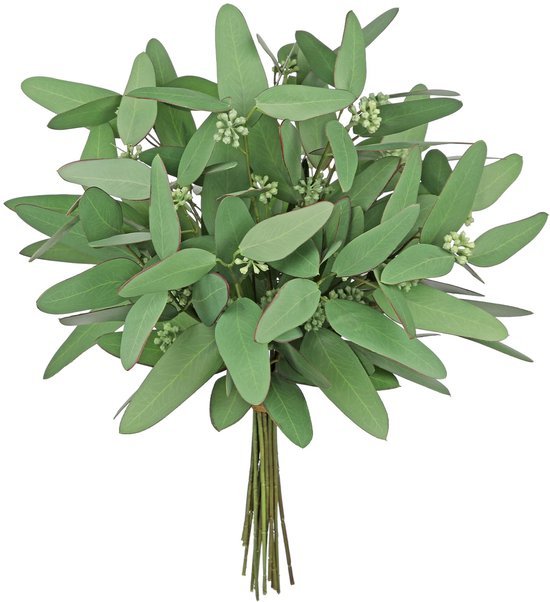 Unyqoos® Onderhoudsvriendelijke Eucalyptus Kunsttakken voor Diverse Decoratiemogelijkheden