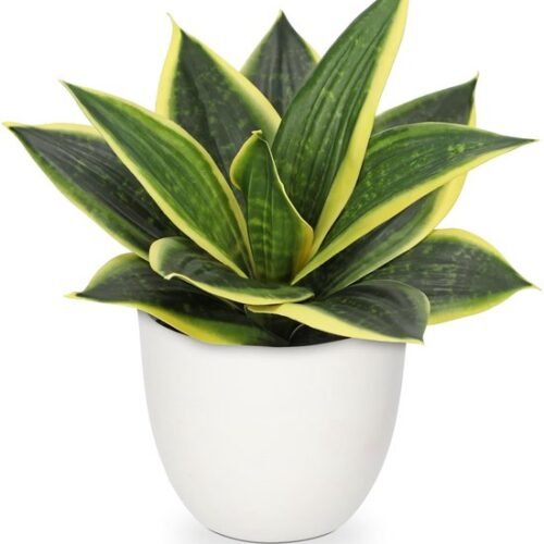 Unyqoos® Kunstmatige Sansevieria Plant voor Stijlvolle Thuis- en Kantoorinrichting