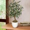 Unyqoos® Kunstmatige Olijfboom voor Binnen- en Buitendecoratie, 45 cm Hoog, Inclusief Pot en Realistische Olijven