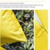 550x609-15.jpg Unyqoos® Set van 2 Gele Waterbestendige Kussenhoezen met Elegante Print voor Binnen en Buiten