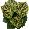 Unyqoos® Realistische kunstplant van 85 cm met pot voor interieurdecoratie