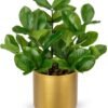 Unyqoos® Decoratieve kunstplanten in gouden pot voor huis en kantoor, groente, 30 cm