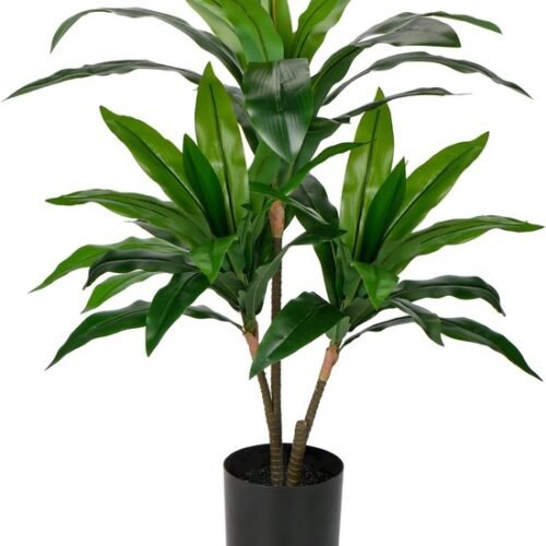 Unyqoos® Grote kunstplant Dracaena Fragans in pot voor stijlvolle interieurdecoratie, groente, 90 cm