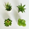 Unyqoos ® Set van 4 Decoratieve Mini Kunstplanten in Keramische Potten voor Diverse Interieurstijlen