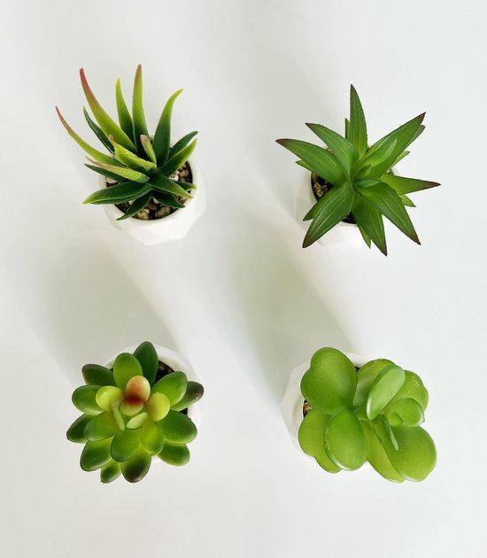 Unyqoos ® Set van 4 Decoratieve Mini Kunstplanten in Keramische Potten voor Diverse Interieurstijlen
