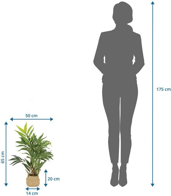 Unyqoos® Decoratieve kunstpalm met mand voor huis en tuin, onderhoudsvrij 65 cm