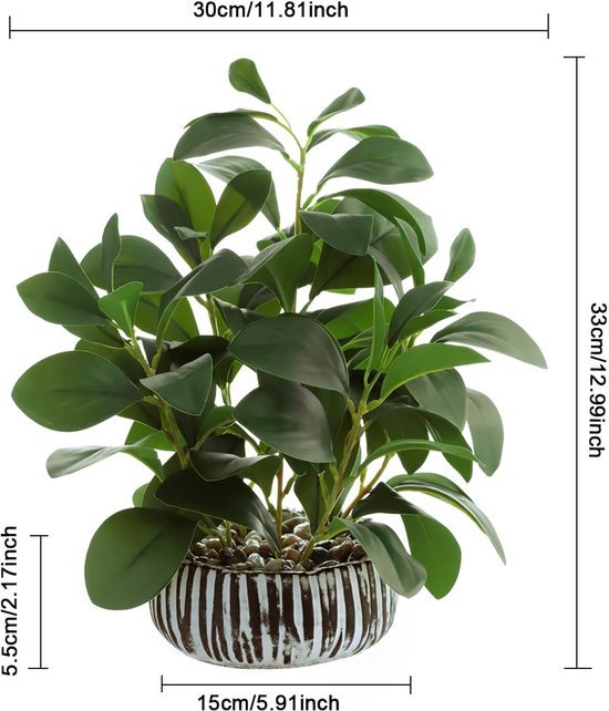 Unyqoos® Decoratieve kunstplant Peperomia in stevige cementpot voor binnen en buiten