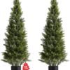 550x643-32.jpg Unyqoos® Set van Twee Kunstmatige Cederbomen voor Binnen- en Buitendecoratie
