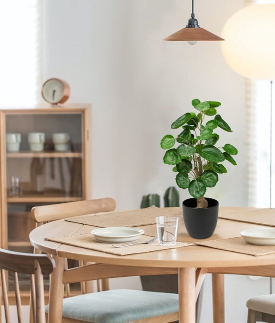 Unyqoos® Decoratieve en Onderhoudsvrije Kunstplant van 45 cm voor Binnen en Buiten