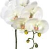 550x654-2.jpg Unyqoos® Set van vier natuurgetrouwe kunsttakken met witte orchideebloemen