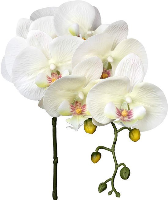 550x654-2.jpg Unyqoos® Set van vier natuurgetrouwe kunsttakken met witte orchideebloemen