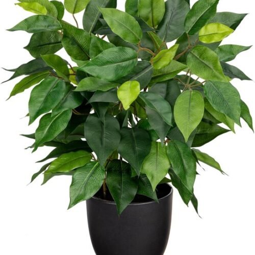 Unyqoos® Realistische kunstficus in pot voor stijlvolle decoratie in huis of kantoor