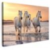 550x660-102.jpg Unyqoos® Unieke wanddecoratie met paarden en zee voor woonkamer of slaapkamer