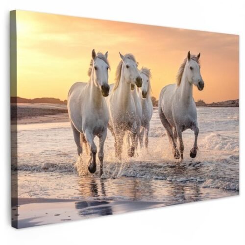 550x660-102.jpg Unyqoos® Unieke wanddecoratie met paarden en zee voor woonkamer of slaapkamer