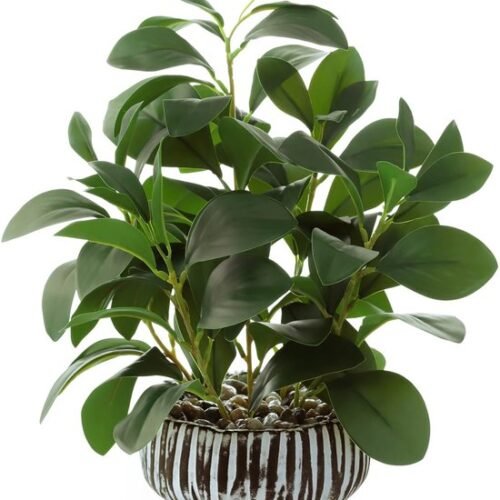 Unyqoos® Decoratieve kunstplant Peperomia in stevige cementpot voor binnen en buiten