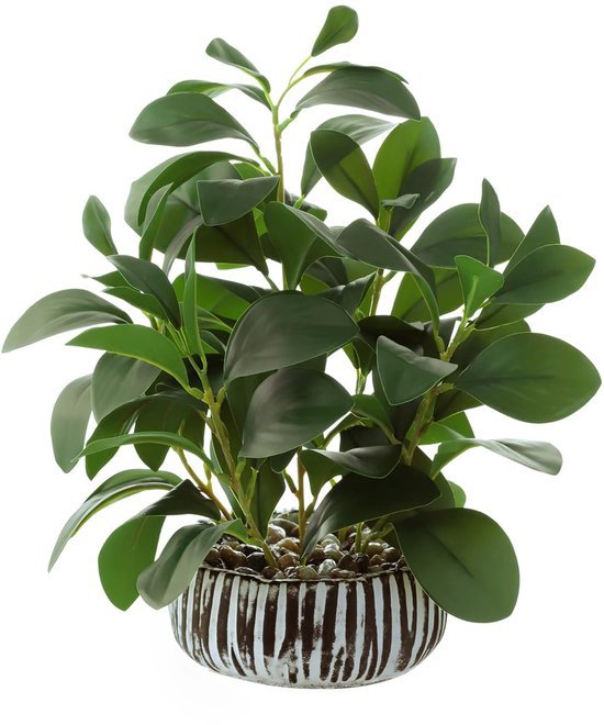 Unyqoos® Decoratieve kunstplant Peperomia in stevige cementpot voor binnen en buiten