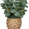 Unyqoos® Decoratieve kunstplant eucalyptus in pot voor sfeervol interieurontwerp